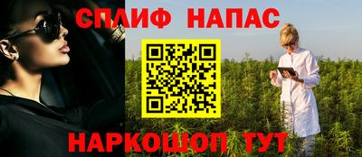 стаф Кинель