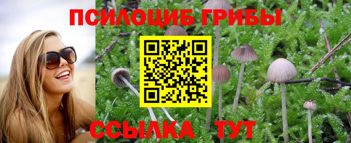 Псилоцибиновые грибы мицелий Кизляр